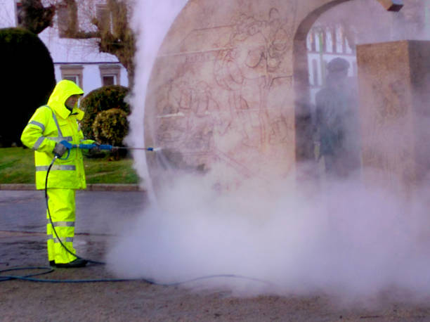 Best Roof Pressure Washing  in Piney, AR